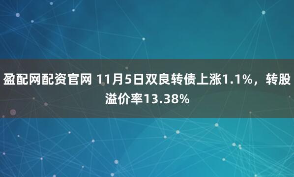 盈配网配资官网 11月5日双良转债上涨1.1%，转股溢价率13.38%