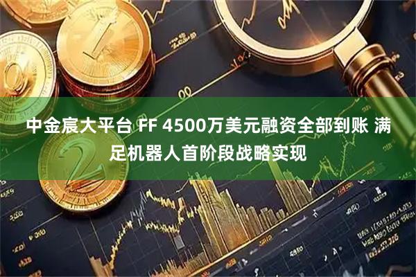 中金宸大平台 FF 4500万美元融资全部到账 满足机器人首阶段战略实现